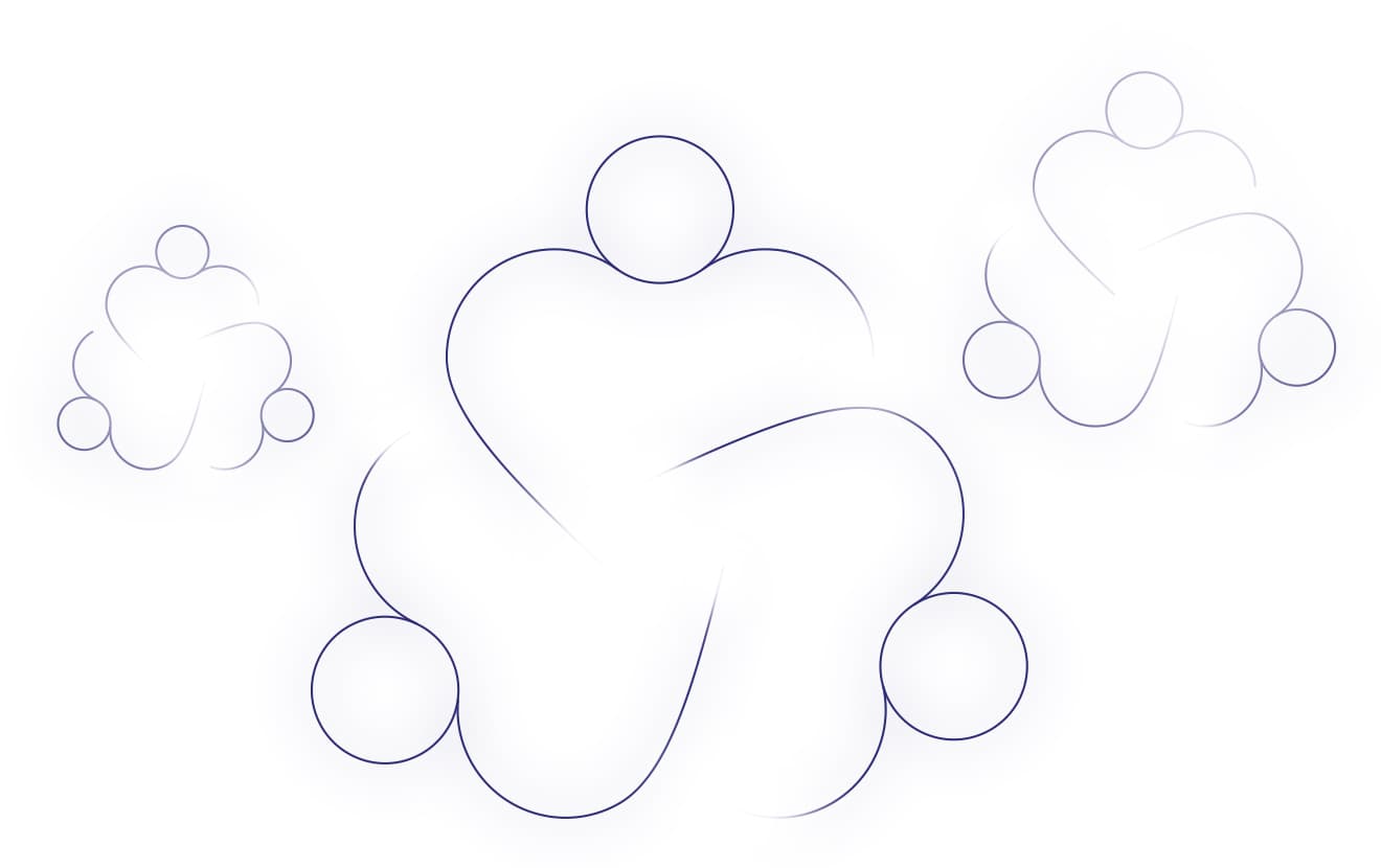 Diversity social capital and the vivre-ensemble icons