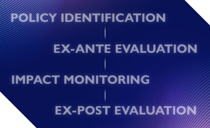 LISER Policy Lab life cycle diagram