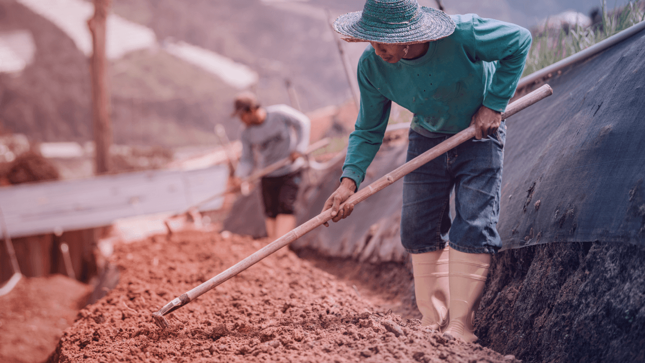 Reducing the mistreatment of migrant workers