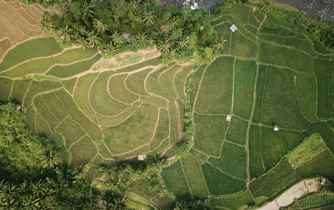Land ownership