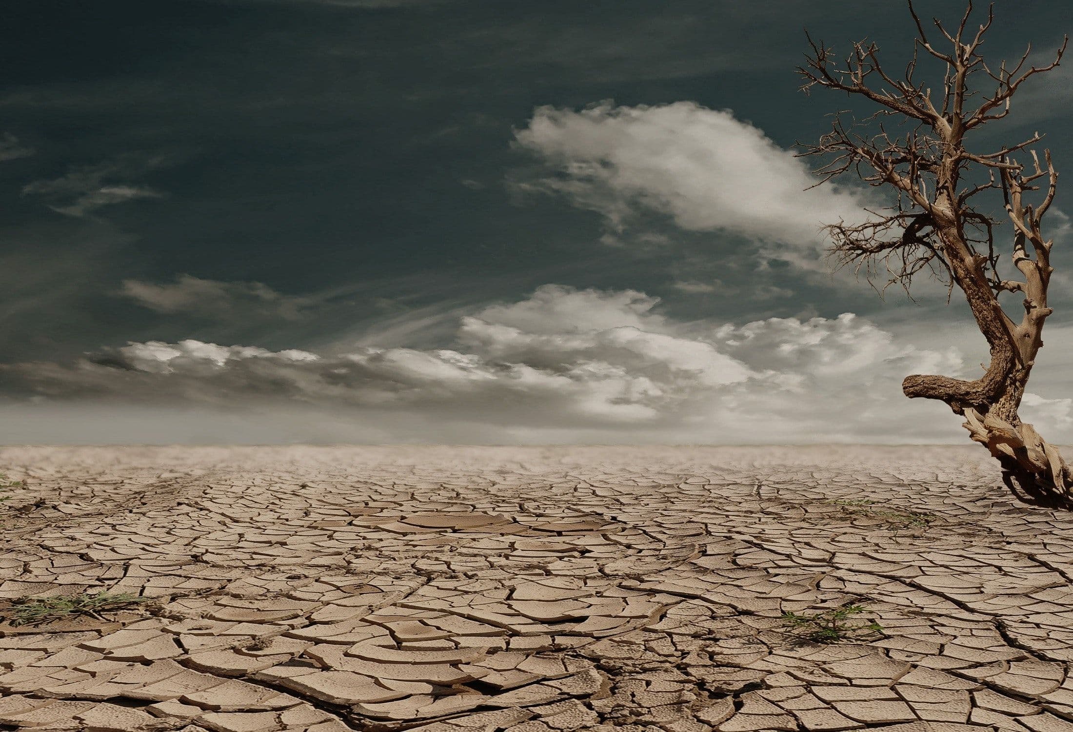Climate Migration image