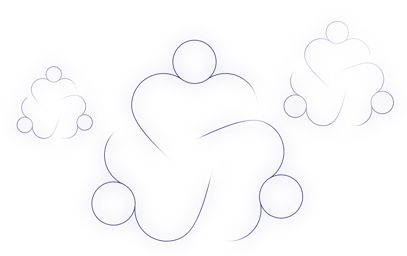 Diversity social capital and the vivre-ensemble icons