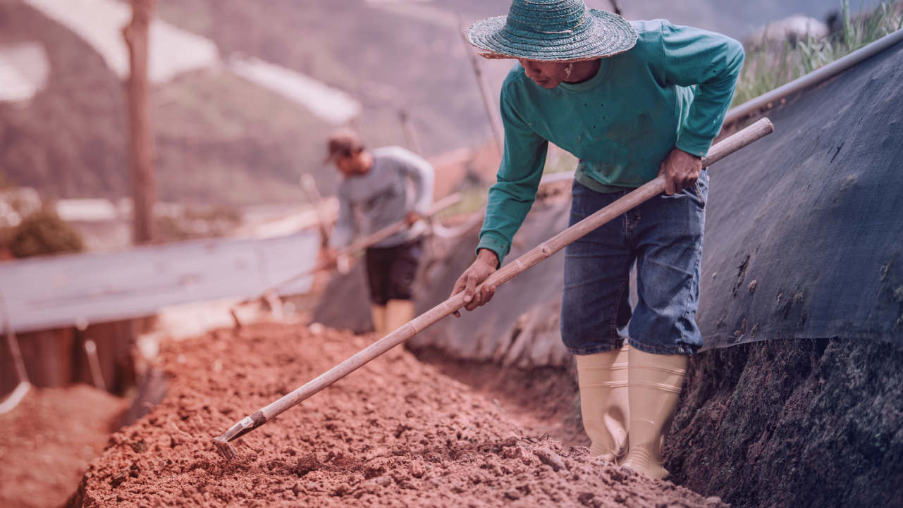 Reducing the mistreatment of migrant workers