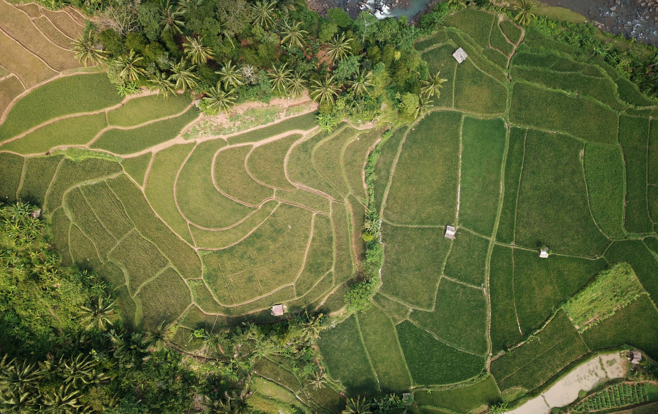 Land ownership